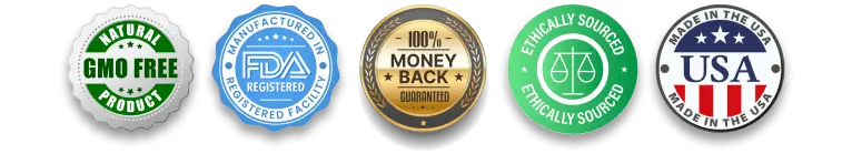 Steel Flow Pro Certification
